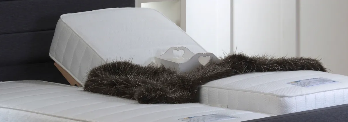 Double electric beds